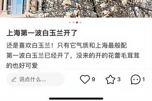 开云电竞官方网站下载安卓手机截图2